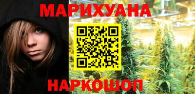 спайс Кингисепп