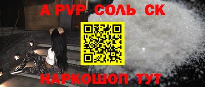 спайс Кингисепп