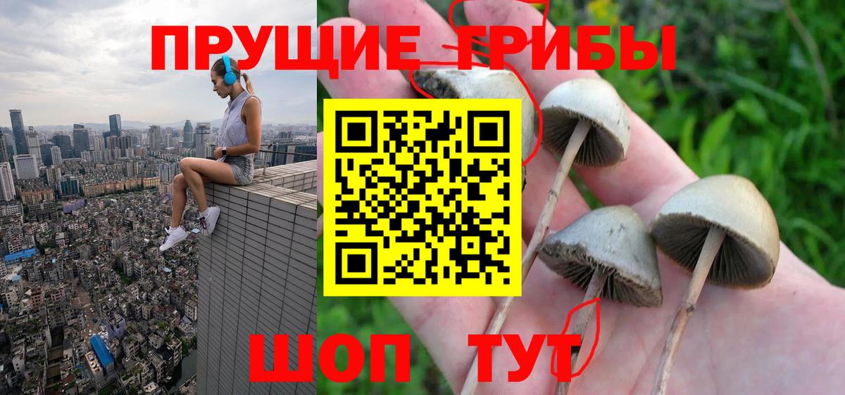 купить   Галлюциногенные грибы прущие грибы  Вход с VPN  Железногорск 